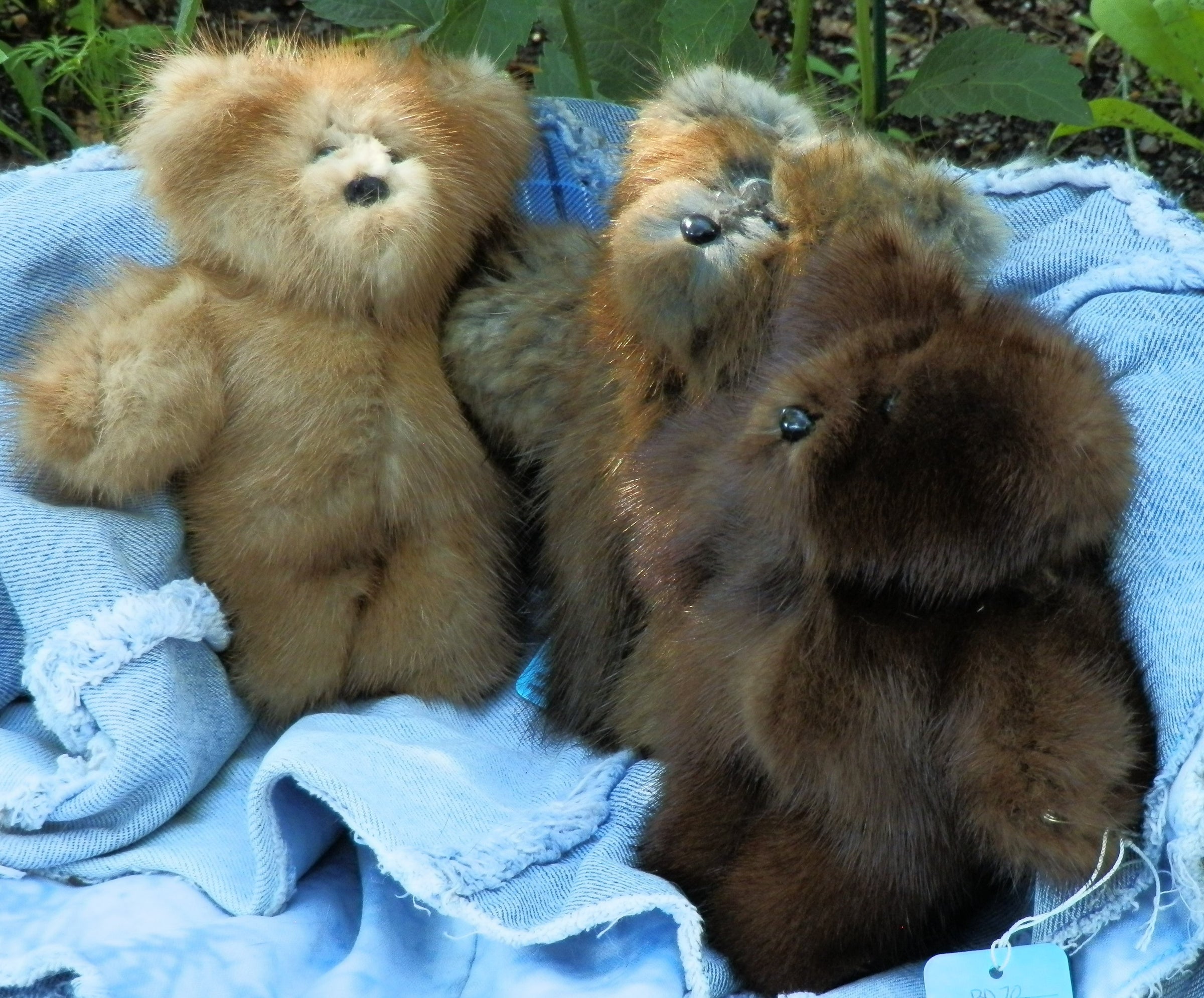 Home | Bizzee Making Bears