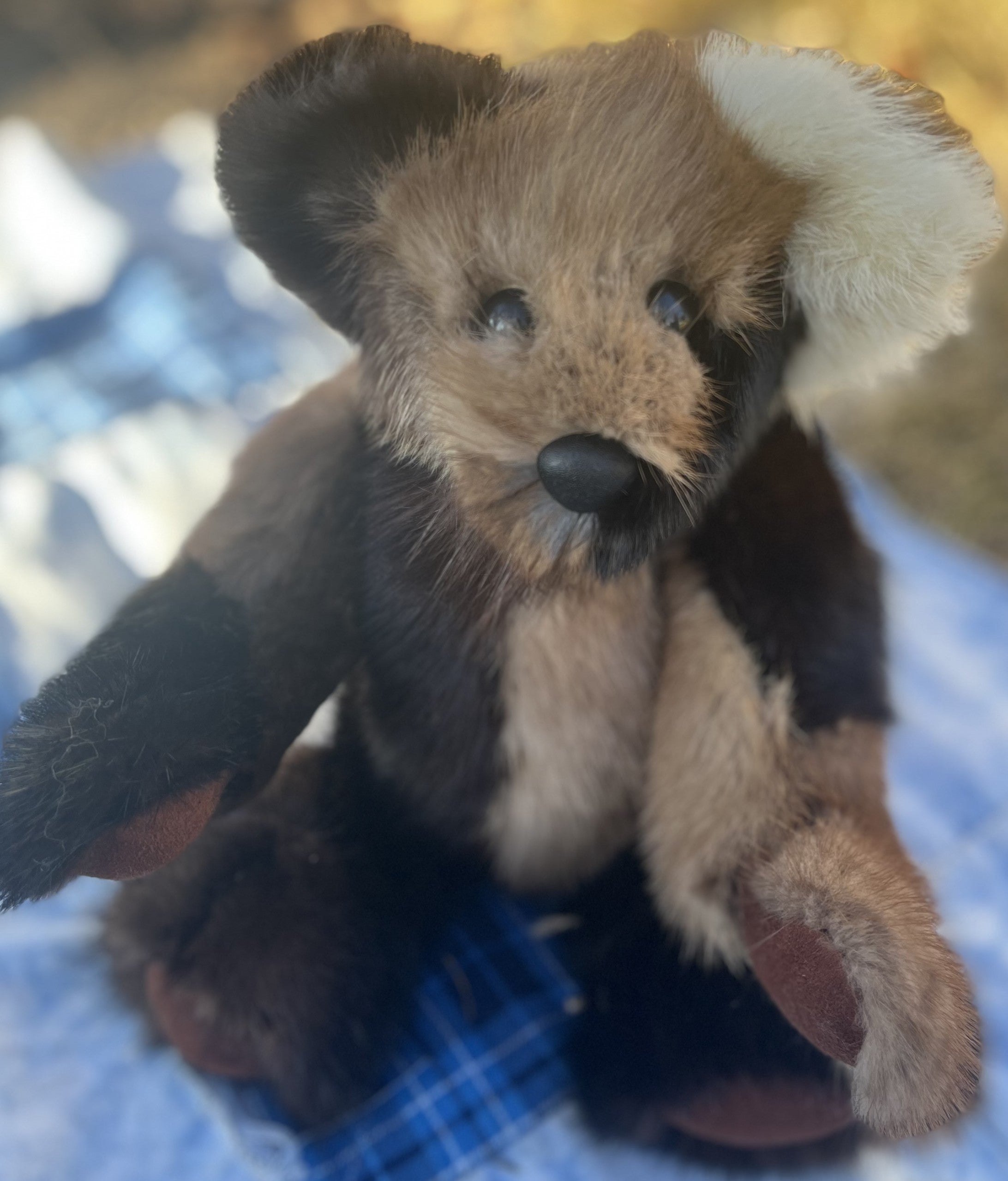 Home | Bizzee Making Bears