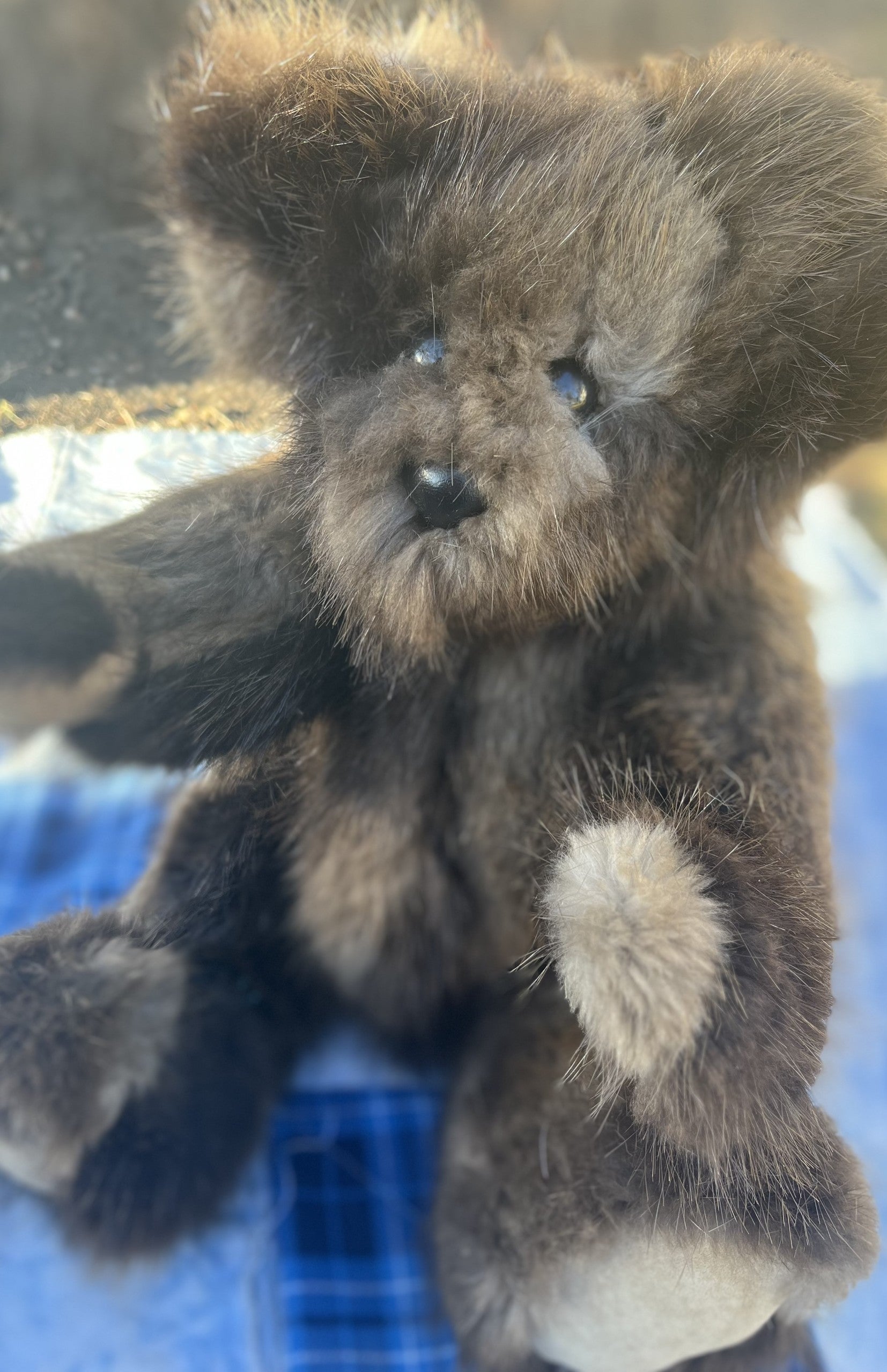 Home | Bizzee Making Bears